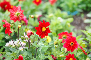 Similar image 2623903