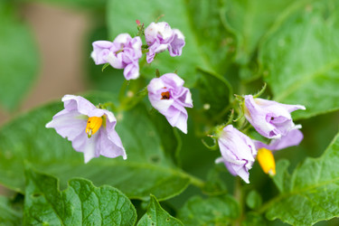 Similar image 2623911