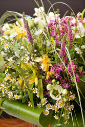 Similar image 2624355