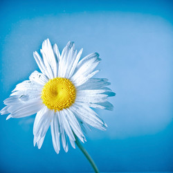 Similar image 2624356