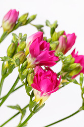 Similar image 2624358