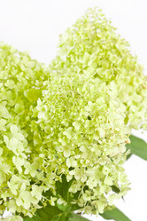 Similar image 2624364