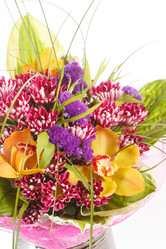 Similar image 2624379