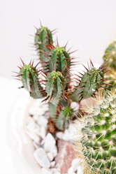 Similar image 2624409