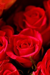 Similar image 2624430