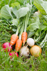 Similar image 2624471