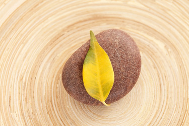 Similar image 2624478