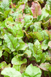 Similar image 2624485