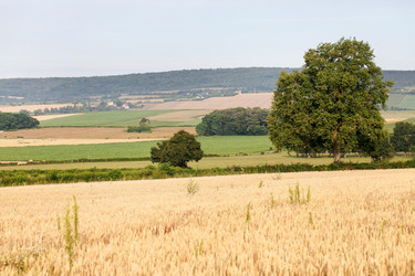 Similar image 2624495