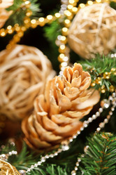 Similar image 2624571