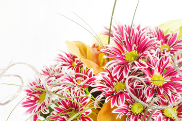 Similar image 2624656