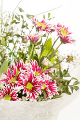 Similar image 2624658