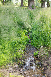 Similar image 2624662