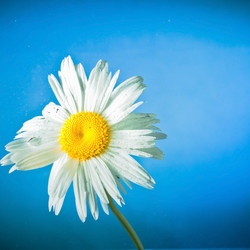 Similar image 2624670