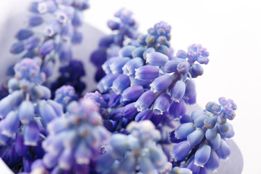 Similar image 2624741