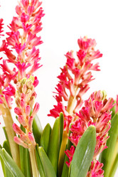 Similar image 2624746