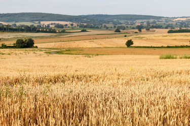 Similar image 2624749