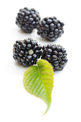 Similar image 2624753