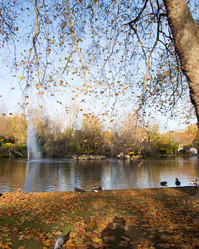 Similar image 2625024