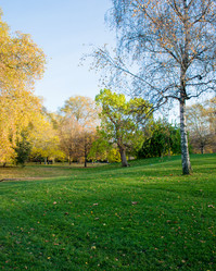 Similar image 2625113