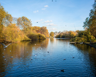 Similar image 2625135