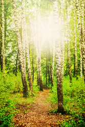 Similar image 2626497