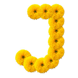 Similar image 2626505