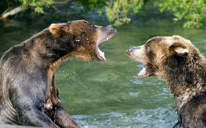 Similar image 2639700