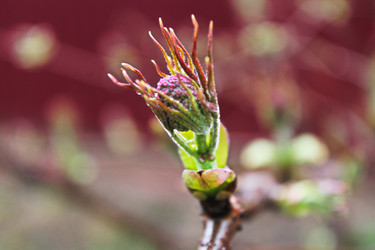 Similar image 2639869