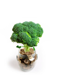 Similar image 2639996