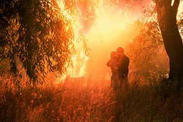 Similar image 2640006