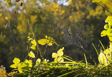 Similar image 2640071