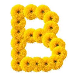 Similar image 2640206