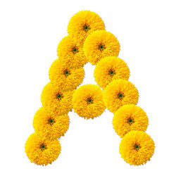 Similar image 2640208