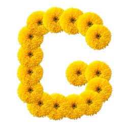 Similar image 2640209