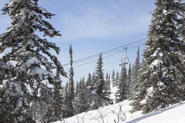 Similar image 2641004