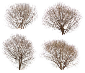 Similar image 2641020