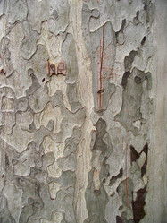 Similar image 2641555