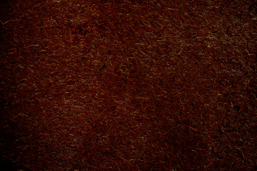 Similar image 2642408