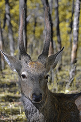 Similar image 2642463