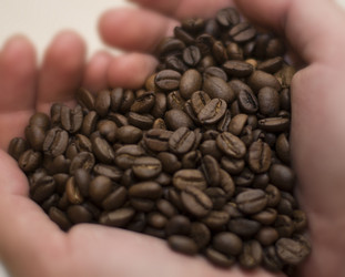 Similar image 2642465