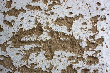 Similar image 2642870