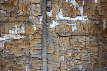 Similar image 2642876