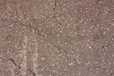 Similar image 2642903