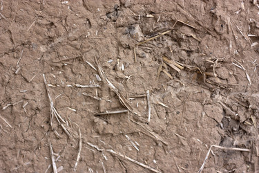 Similar image 2642904