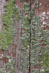 Similar image 2642991