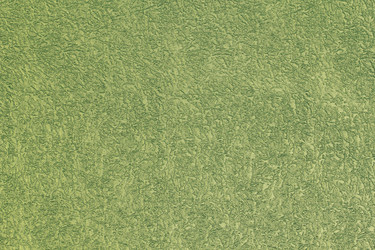 Similar image 2644268