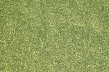 Similar image 2644274