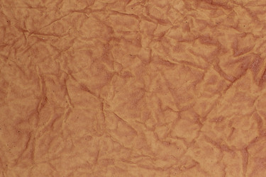 Similar image 2644339