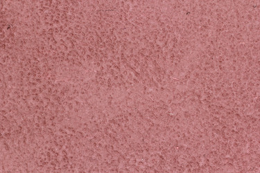 Similar image 2644362